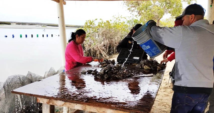 Reconoce SEPADA labor de las mujeres en la acuacultura