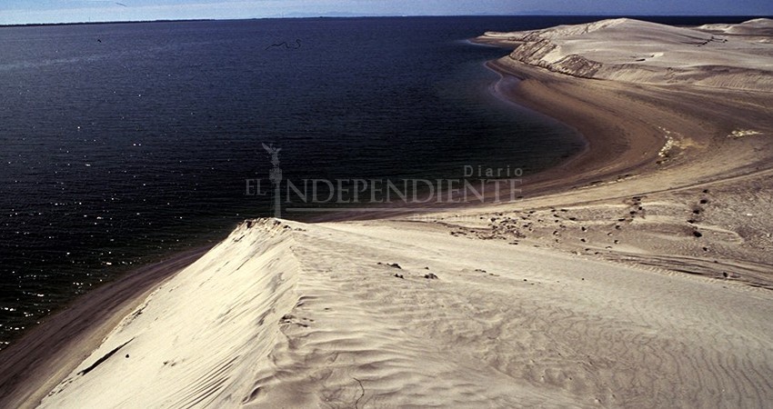 Asociación sudcaliforniana promueve crear la "Reserva de la Biosfera Dos Mares"