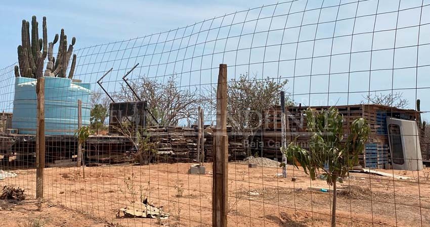 Asegura Delegado de CSL se respetan derechos humanos en desalojo de invasiones