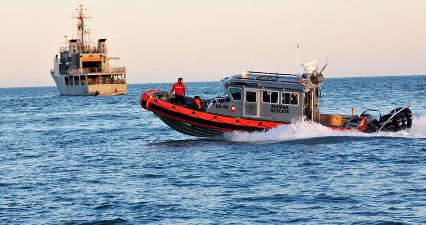 Avistan cuatro ejemplares de vaquita marina en aguas del Alto Golfo de California