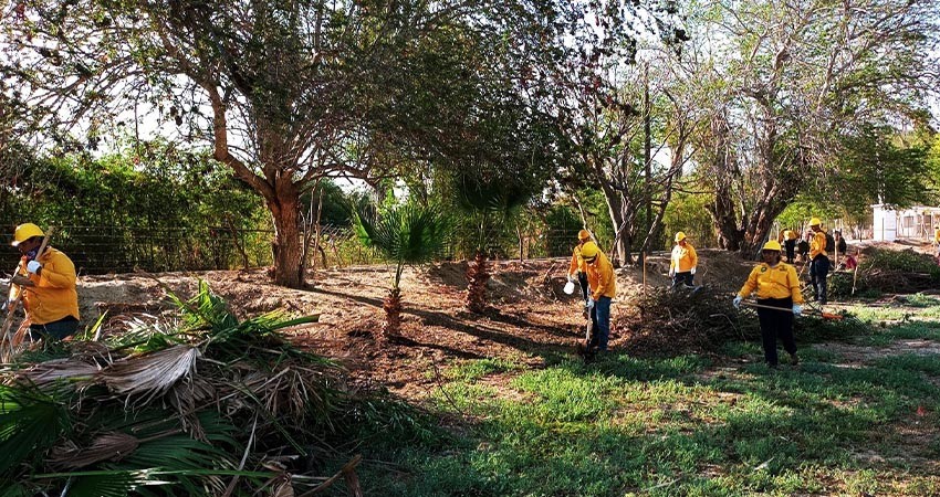Retiran 85 toneladas de material combustible en Oasis de Santiago