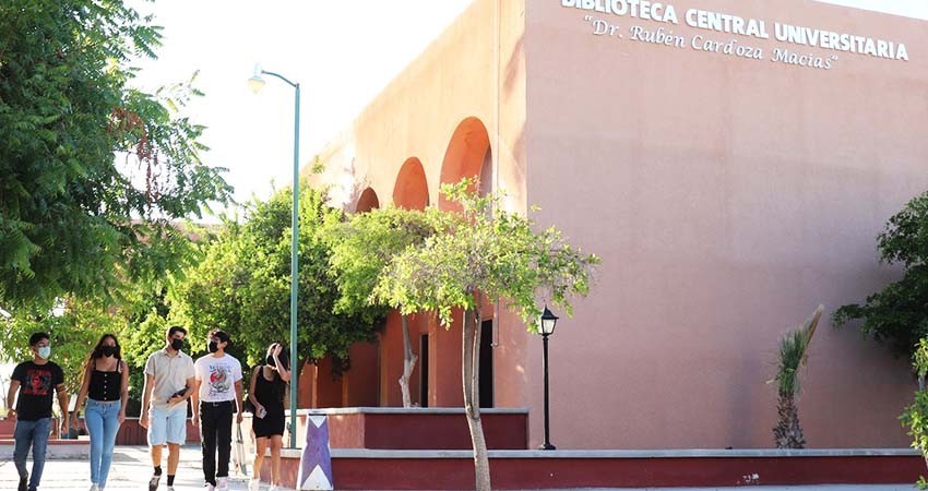 Reanudan actividades administrativas en UABCS