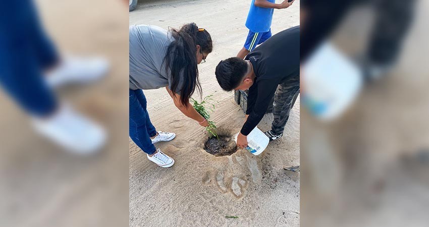 Ayuntamiento aplica programa de reforestación en colonia Altos de Miranda de CSL
