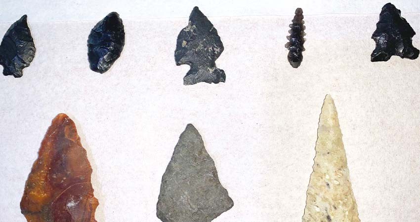 Museo Natural de Historia de Cabo San Lucas tendrá nuevas exposiciones