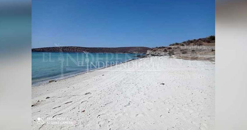 Trabaja Ayuntamiento en liberar accesos de 24 playas; hasta ahora van 3: Pavel Castro