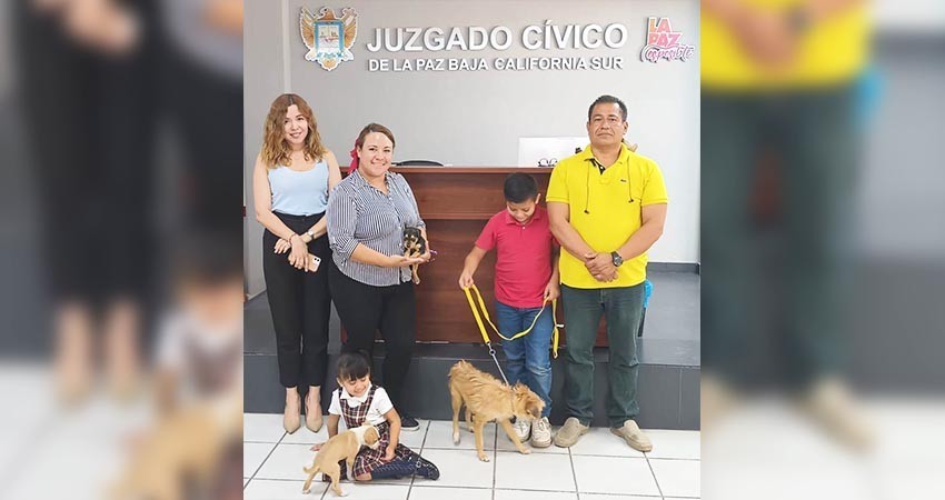 Realiza CEMAC en conjunto con el Sector Salud 56 esterilizaciones durante Julio