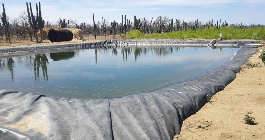 Trabaja SEPADA para conservar el agua y el estatus sanitario en el estado
