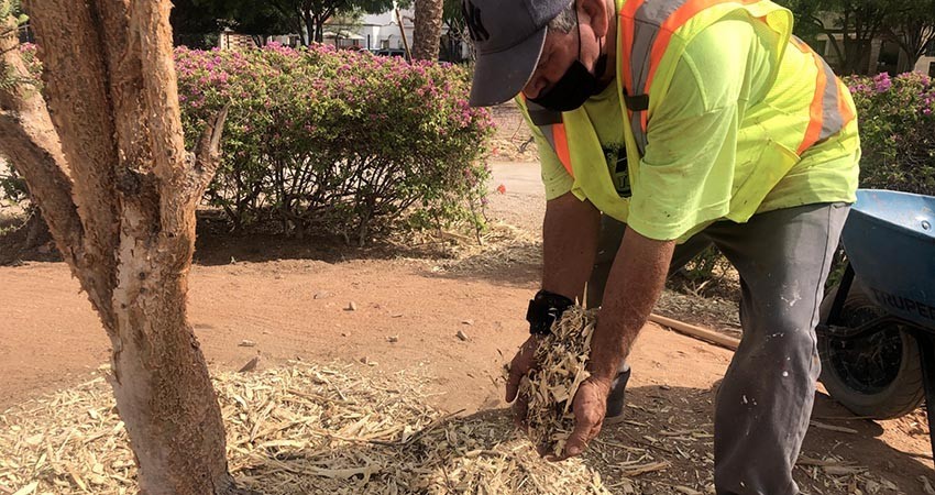 Servicios públicos aplica más de 2 toneladas de mulch en diferentes parques de La Paz