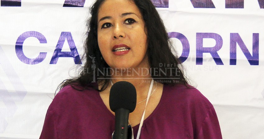 Una desafortunada y pobre ejecución de la CFE está provocando los apagones: CERCA