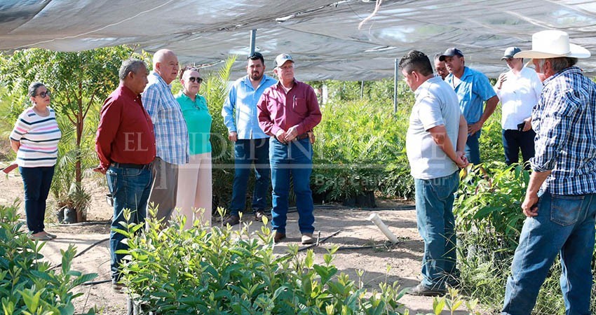 Reconoce gobernador Castro Cosío alta productividad del CEPROVEG