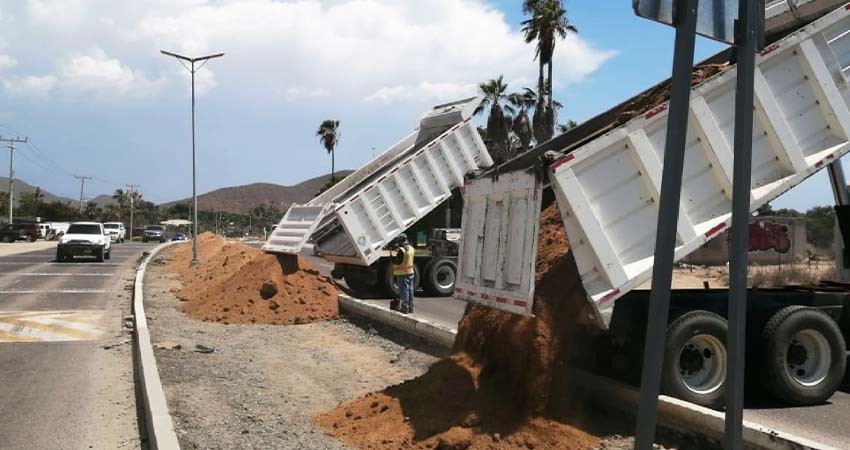 Continúa Servicios Públicos con el programa “Camellones Choyeros” en El Pescadero