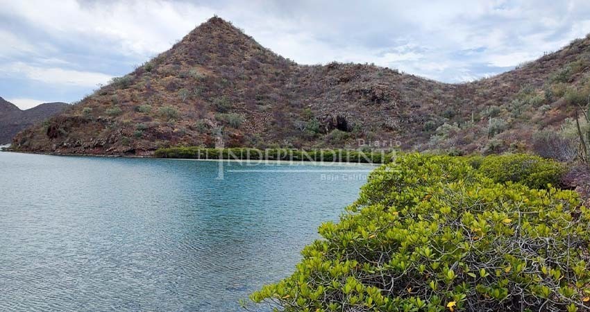 Cuenta BCS con dos nuevas Áreas Naturales Protegidas