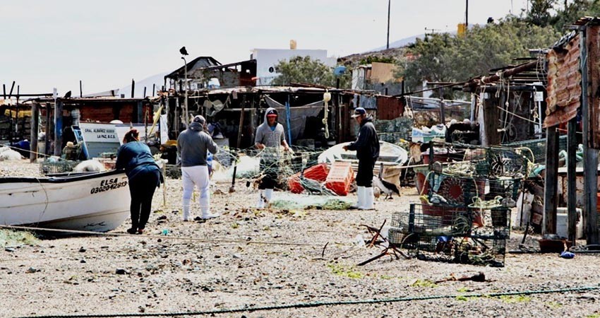 Aperturan programa de seguro de vida a pescadores y acuacultores
