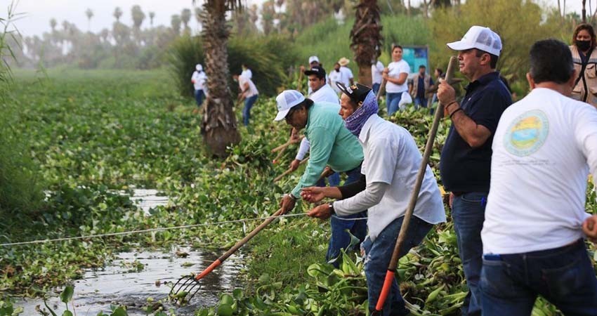 Ayuntamiento Los Cabos impulsa nuevas acciones para la conservación del Estero Josefino