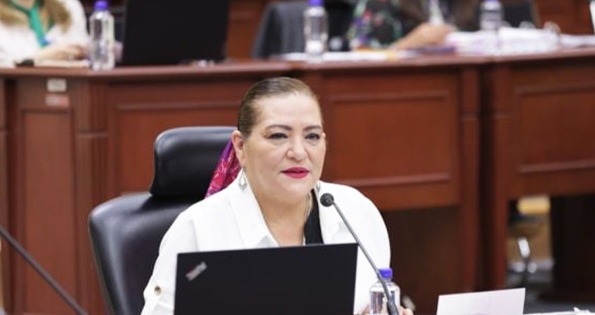 El INE defenderá presupuesto para 2024 ante posible reducción