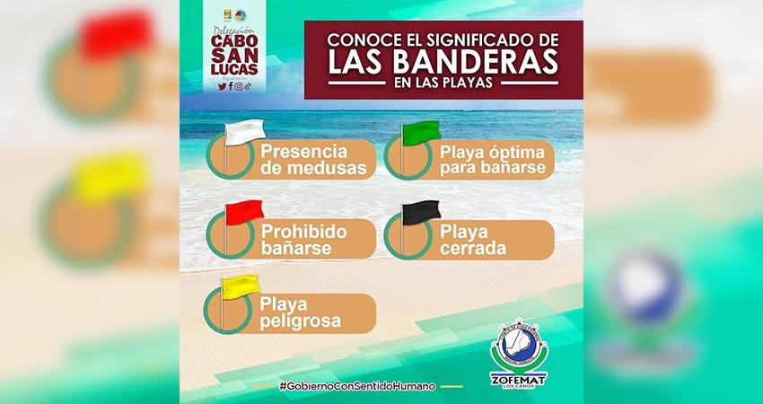Pocos seguras las playas de Los Cabos para su uso: ZOFEMAT