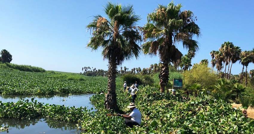 6 guardaparques resguardan la zona del Estero de SJC