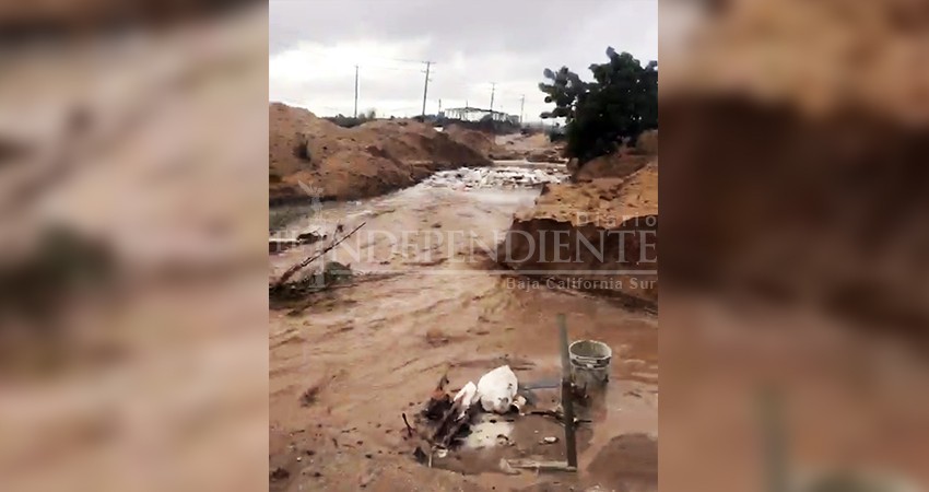 Temen ciudadanos que por las lluvias se detenga pavimentación de la Tamaral