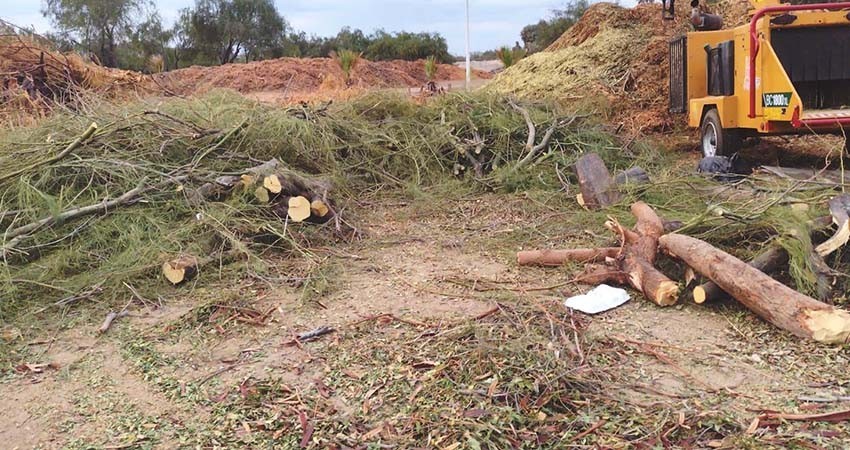 Generadas más de 13 toneladas de material orgánico con el programa “Manos a la Tierra”