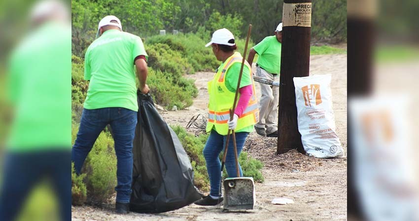 Participa Servicios Públicos en limpieza de humedales en el Mogote Ensenada de La Paz