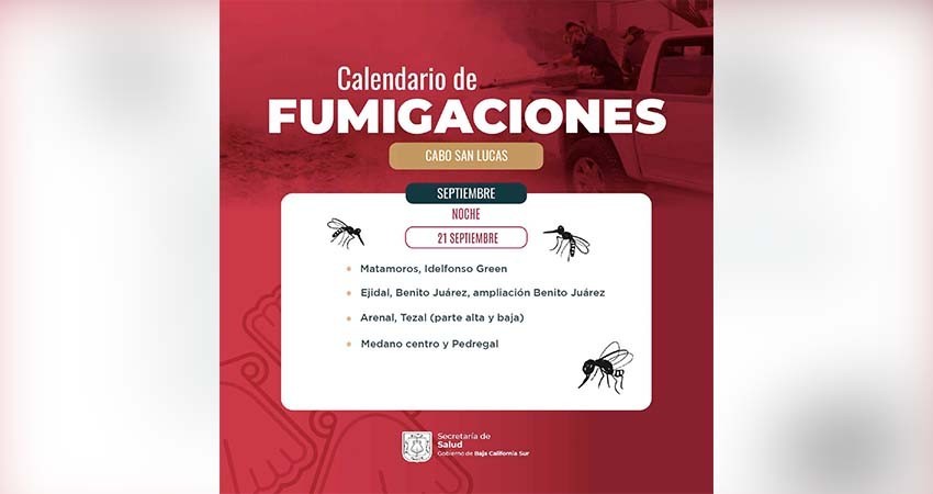 Piden a la población participar en las campañas contra el Dengue