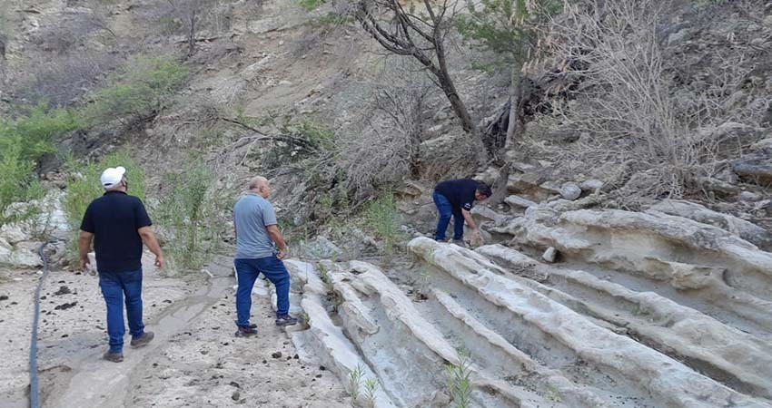METMEX recibe hasta 15 reportes diarios por movimientos sísmicos en Los Cabos