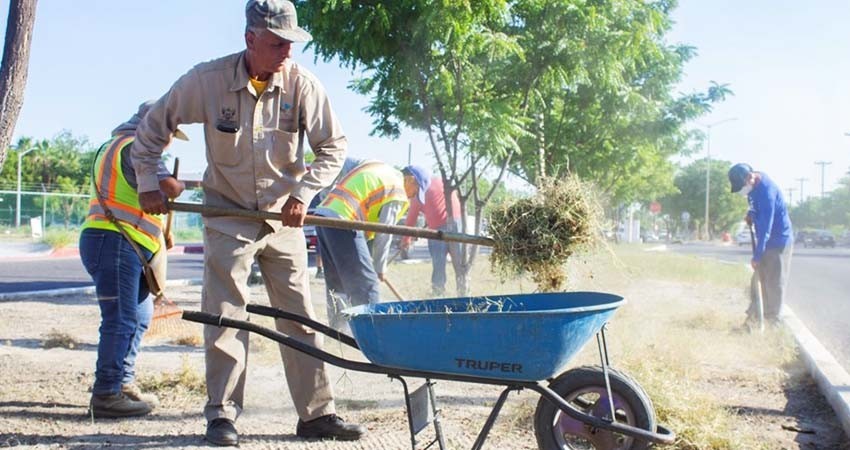 Realiza Servicios Públicos limpieza de 3 kilómetros de camellones