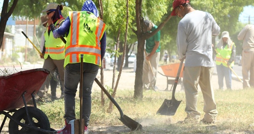 Continúan los trabajos de deshierbe en camellones de bulevares de La Paz