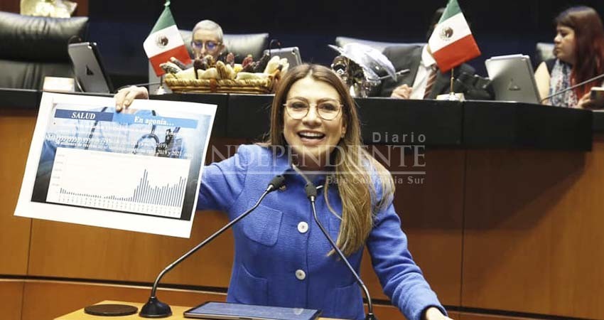 El gobierno de AMLO pasará a la historia por la deuda pública y falta de resultados: Saldaña Cisneros