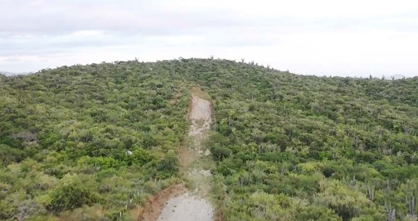 Avanza el proyecto de asentamiento del Ayuntamiento de Los Cabos