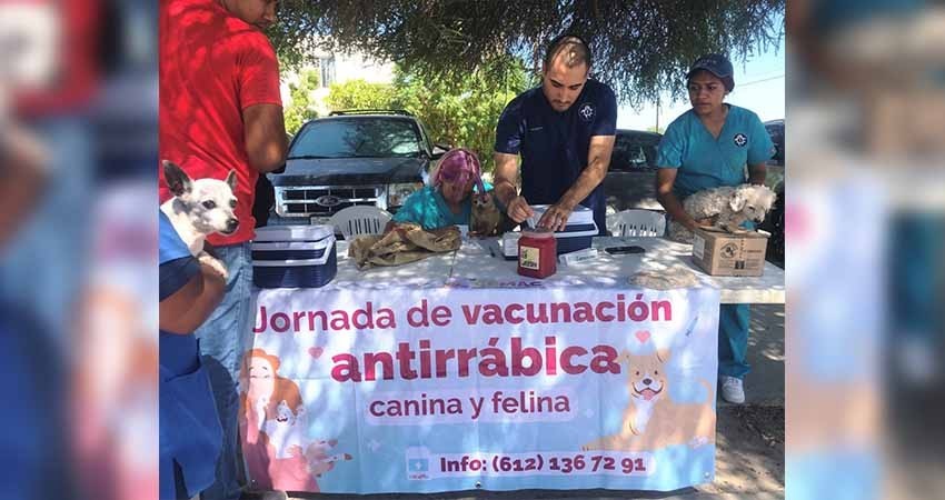Aplica el CEMAC más de mil vacunas antirrábicas en colonias al Sur de la Ciudad