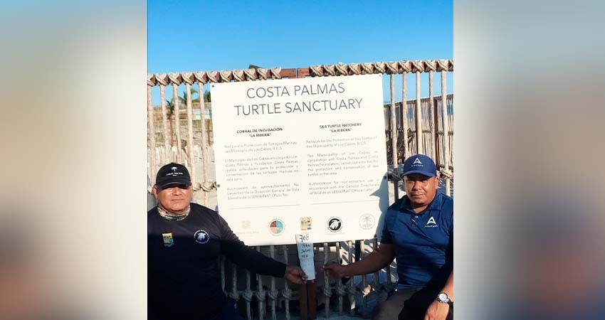 A través del programa de protección a la tortuga se han protegido 824 nidos