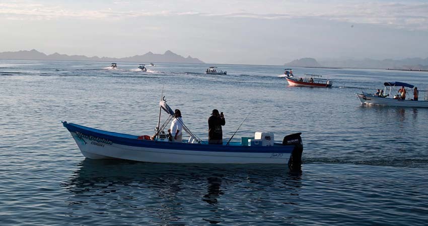 Rechaza el gobierno de BCS iniciativa que libera especies marinas a la pesca comercial