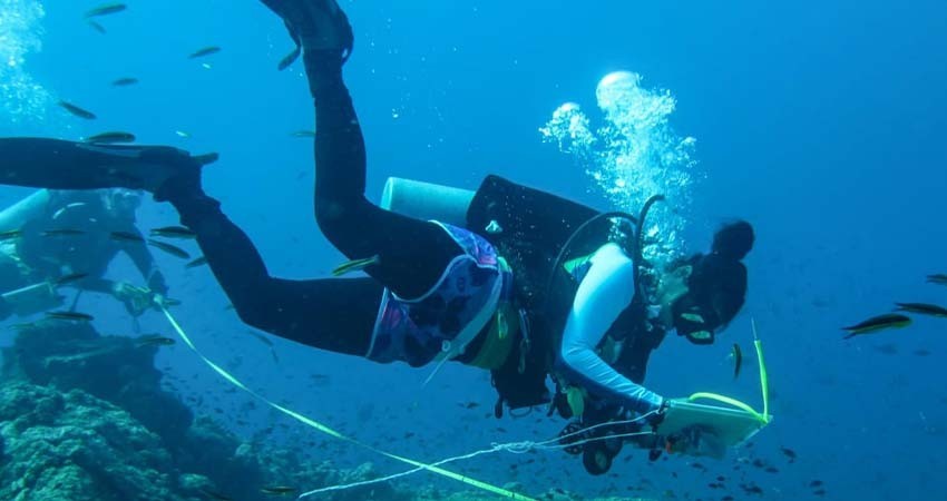 Por cerrar registro de aspirantes que deseen estudiar programas relacionados con las ciencias marinas y costeras en la UABCS