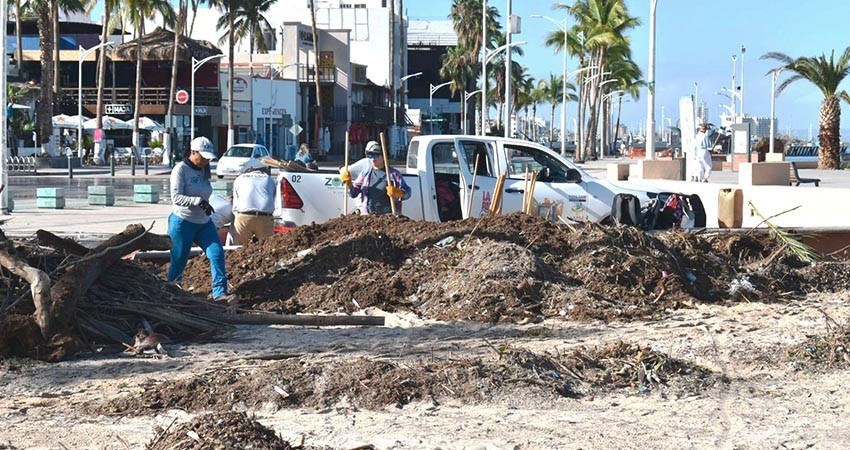 Se unen ciudadanos, comerciantes y Ayto en la limpieza del Malecón de La Paz