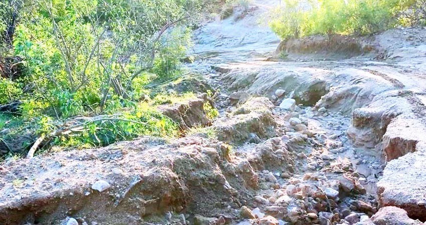 Evalúan posibles daños por “Norma” en Cabo San Lucas