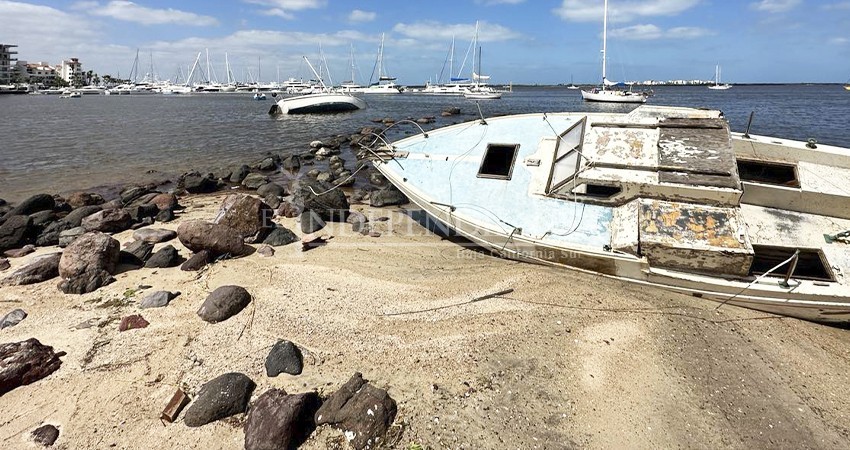 Advierte Castro Cosío posible contaminación en la bahía de La Paz, por yates hundidos