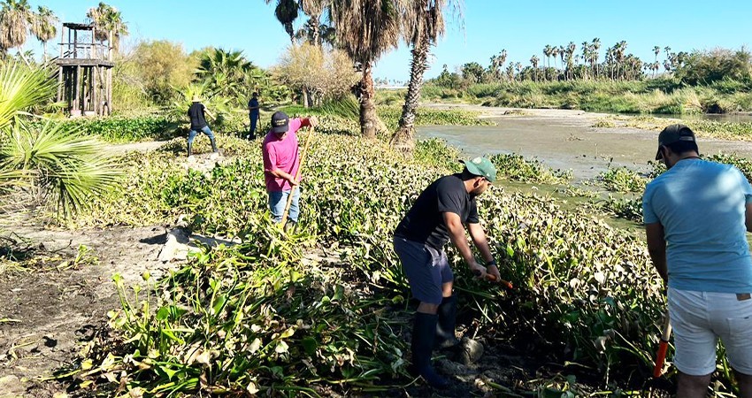 Llevarán a cabo una segunda jornada de limpieza en el Estero de SJC