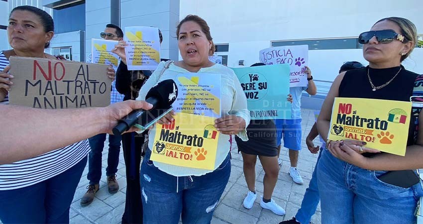 Exigen justicia para "Paco", perro apuñalado por un vecino en Camino Real