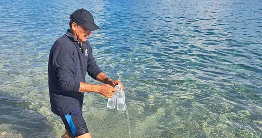 Playas de La Paz ya pueden utilizarse para fines recreativos: COEPRIS
