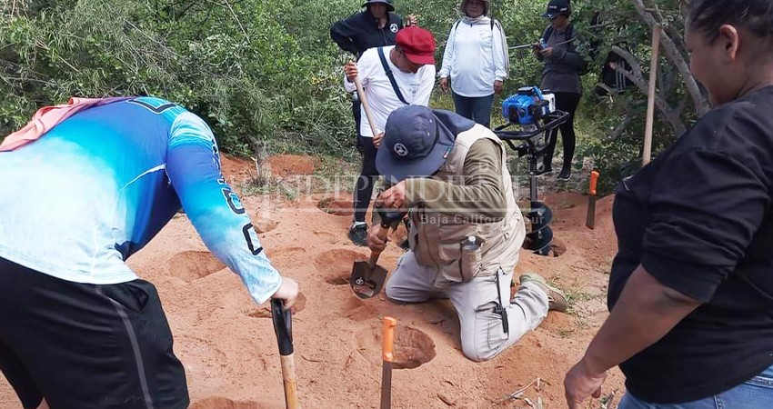 Colectivos de búsqueda de BCS hallan restos humanos en Cabo San Lucas