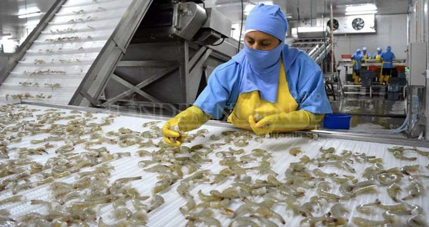 En 2024 abrirá una nueva empacadora de pescado en la comunidad de Agua Verde