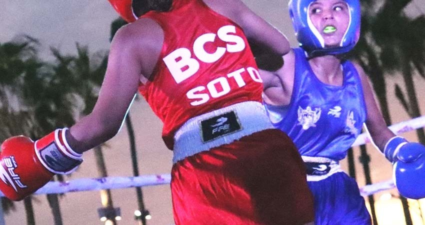 Realizarán el municipal de Box en el parque Los Mangos