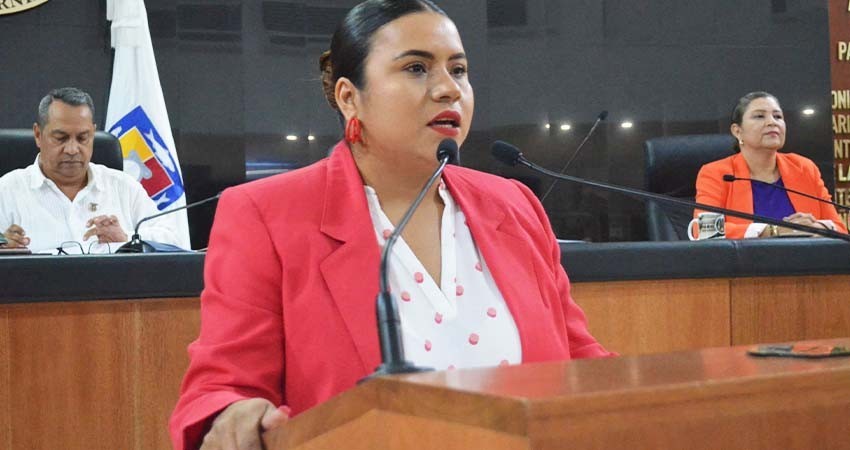 Propone la Diputada Vázquez Jacinto reformas a la Ley Estatal de Desarrollo Urbano en materia de urbanización y videovigilancia