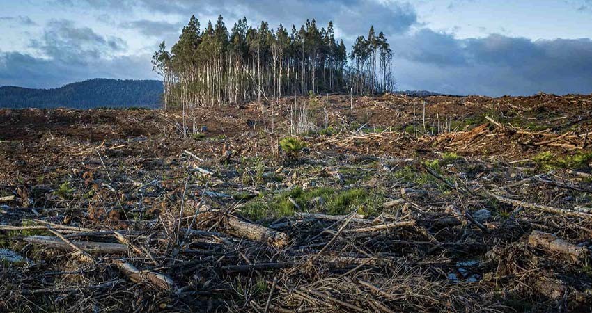 Crisis climática cuesta a México un billón de pesos