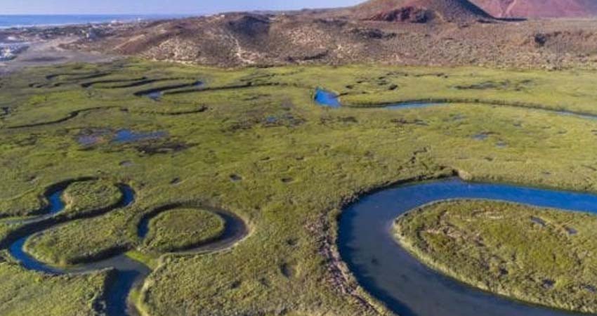 COP28: Suman 40 países en plan para restaurar ríos y humedales impulsado por México