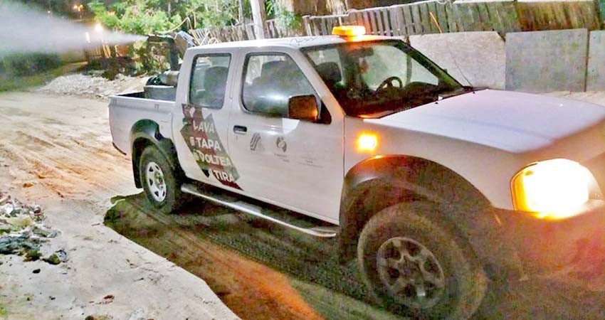 Con jornadas de fumigación y otras acciones de control se estabiliza tasa de dengue en BCS