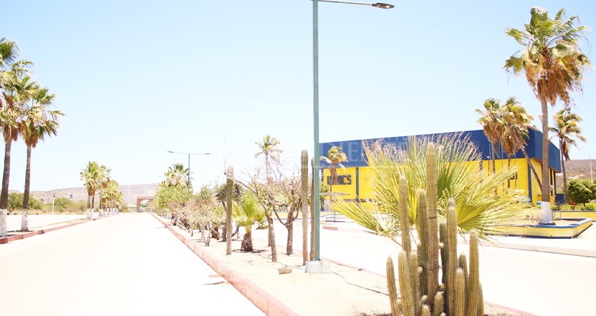 Inicia UABCS el periodo vacacional de invierno