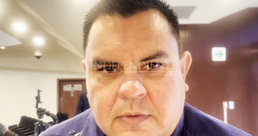 Por definir en PANAL mecanismo de selección de candidaturas, rumbo a las elecciones del 2024