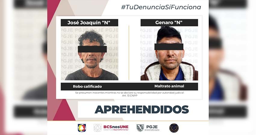 Fueron aprehendidas dos personas por maltrato animal y robo